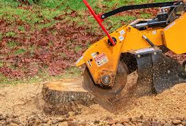 Best Soil Testing and Treatment  in Canton Valley, CT